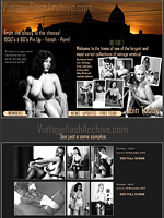 Vintage Flash Archive